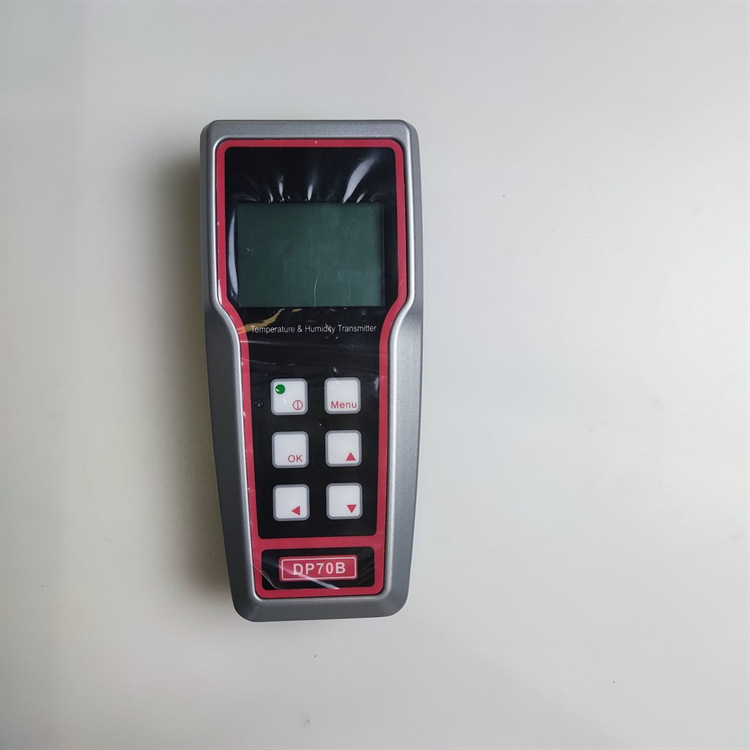 瑞士罗卓尼克DP70B手持式 便捷式露点仪温湿度测试仪