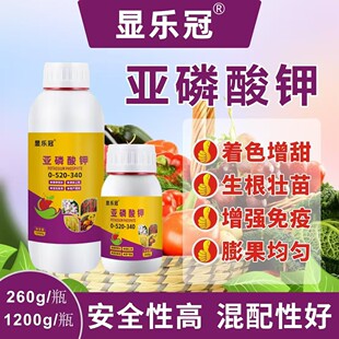 �@���ں��偆��������ͬ�a������ɫ�ٻ���� ���a����