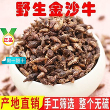 ��ɳţ�V����ș�Ľ�ɰţ�xρ�{��Ʒ����ţ�����x�o�sɳ�u�ع�