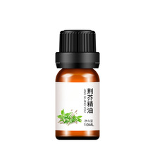 荆芥精油猫薄荷植物面部护肤身体按摩油扩香熏香单方化妆品原料油