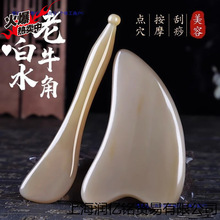 ţǹ沿ӺĘĘ۲ܽԺȻһl