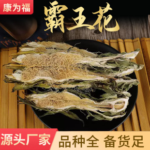 ������ �������� ��G���� ��ș�İ����� �a��؛ ����