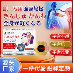 山本星奈子宮ヘルスケアパッチ子宮の不快感を和らげる痛み外用ケアヘルスケアパッチ卸売