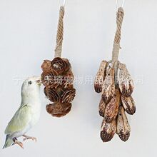 鹦鹉鸟玩具天然果实啃咬大串鸟笼杨桃木芒果磨嘴解压自嗨挂件批发