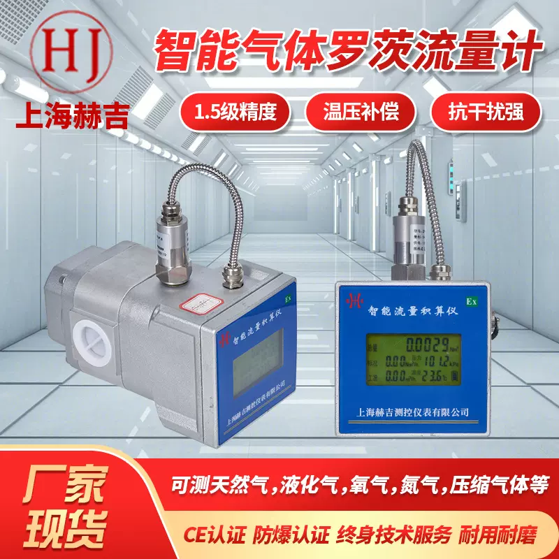 智能气体罗茨流量计小口径腰轮流量计高精度天然气燃气积算仪表