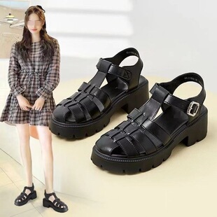 ܛƤܛ���_�RЬŮ2026���¿���|�ٴ�ŮЬ�n����^��Ь����i�\Ь
