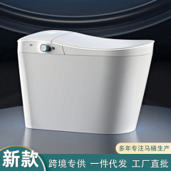 新しい家庭用全自動お尻洗浄ライトスマート便座卸売広東潮州小型バスルーム
