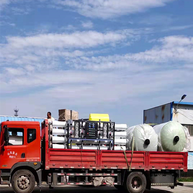 反渗透设备胜王水处理 RO一体化双级纯净水去离子软化过滤