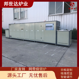 Factory Direct Supply of Electronic Slurry Sintered Mesh Belt Furnace, Bright Annealing Mesh Belt Furnace, Varistor Silver Burning Furnace