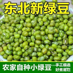 东北农家新货绿豆发芽绿豆多规格可选食用食用农产品常温其他群木