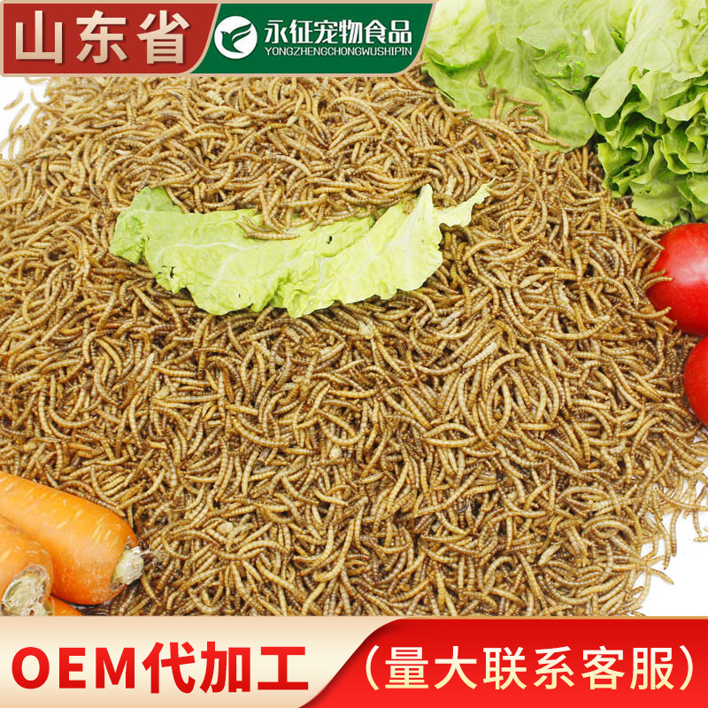 Bread Worm Dry Factory Wholesale Hamster Hedgehog Pet Nutrition Food Turtle Myngobiao Feed Tilberi 1kg