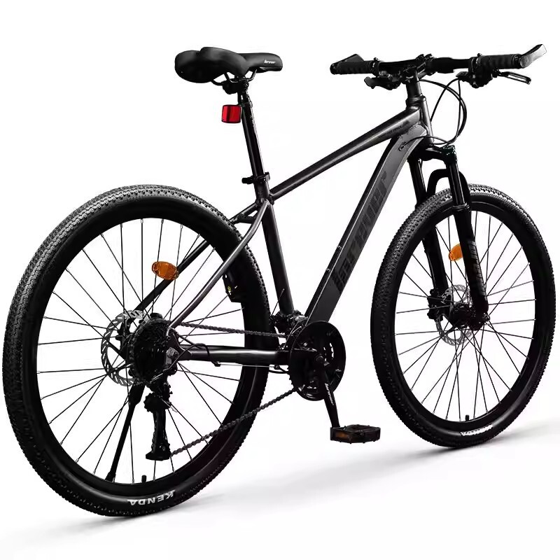 Permanent Bicycle Official Flagship Store Adult Men's Aluminum Alloy Mountain Bike Teenage Female Student Variable Speed Bicycle