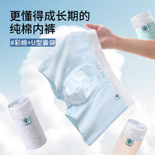 青少年内裤纯棉儿童内裤一件代发男童平角裤发育期男孩四角裤批发
