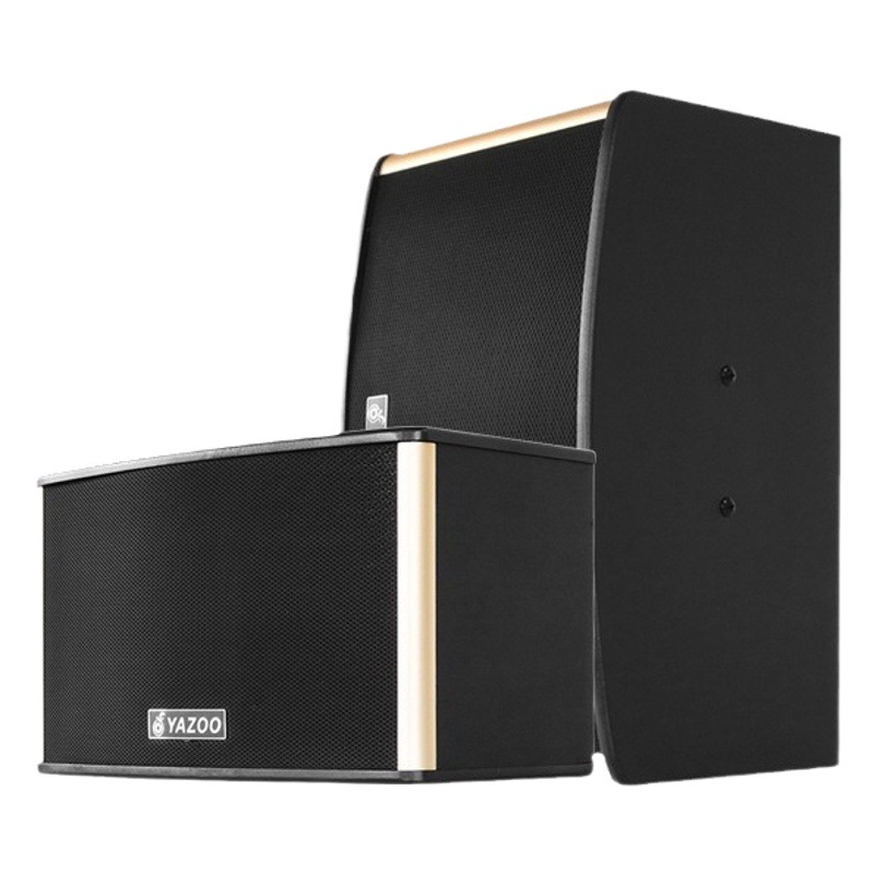 Venta al por mayor personalizado 10 pulgadas titular de la tarjeta profesional altavoz karaoke al aire libre transmisión en vivo Cine en Casa KTV equipo de audio traje