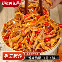 彩椒黄花菜即食拌饭剁椒金针菜凉拌黄花菜香辣下饭菜开胃即食咸菜