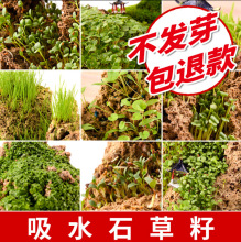 ˮʯɽ辰ˮʯֲGֲ҃΢^̦\ӷ