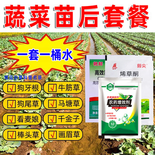 �߲˳��݄����С�ײ������n�S���ﲤ�˿��Ĳ��}����ϳ��݄��rș