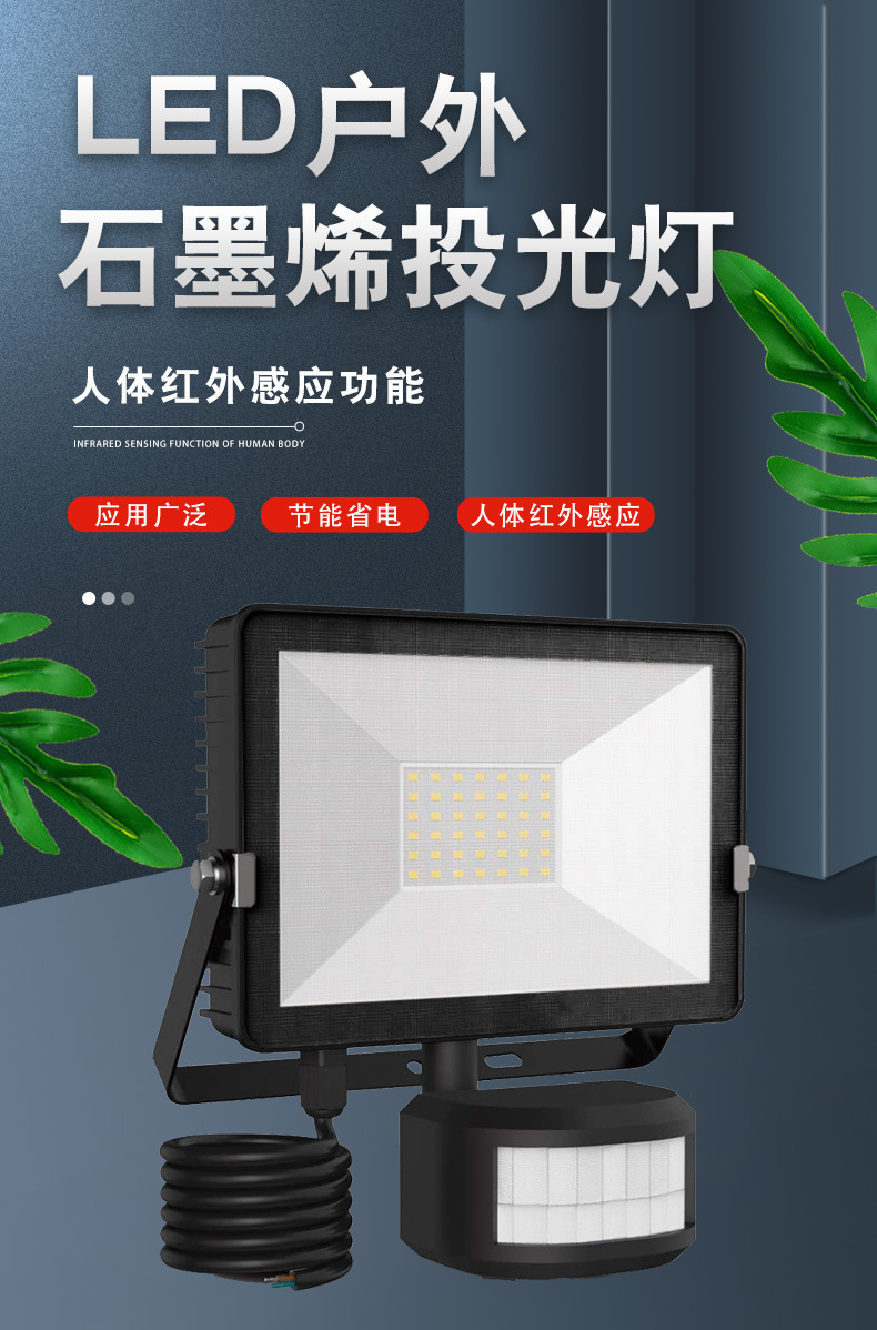 PIR人体投光灯_01.jpg