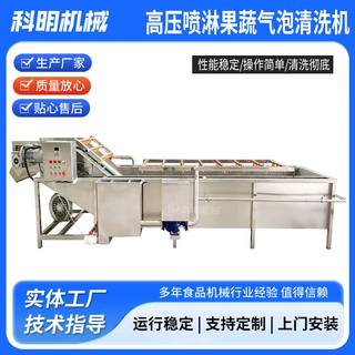 连续式果蔬气泡清洗机高压喷淋水循环可定制预制菜加工厂清洗设备