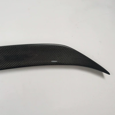 Fixed wind wing G30/38PRO real forged carbon fiber