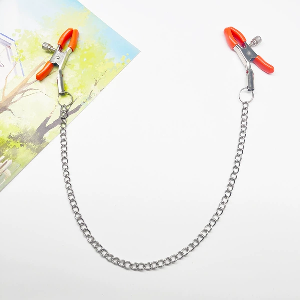 Silver orange wallet + silver chain