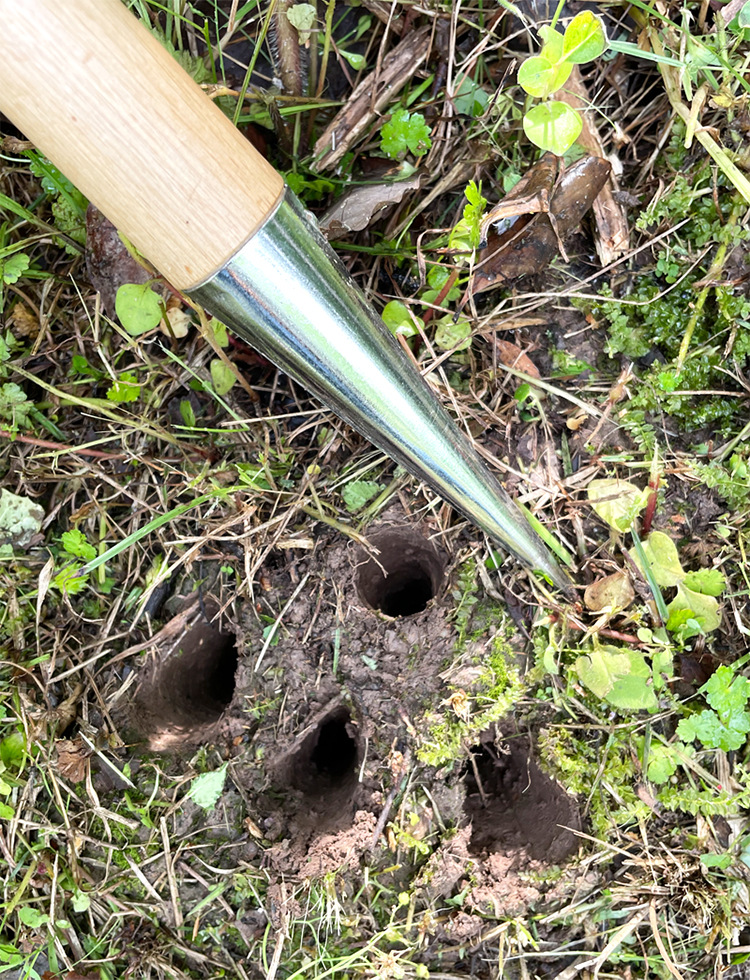 园艺播种打洞器详情