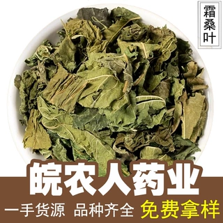 桑叶霜桑叶500g霜桑叶新鲜霜桑叶桑叶干中药材大全代发批发