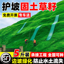 �o�¹��������ͺ��ͺ���������ƺ����é����߅�¾G�����������޼�