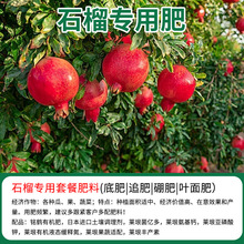 批发石榴专用有机复合肥底肥追肥缓释肥微量元素果树苗颗粒叶面肥