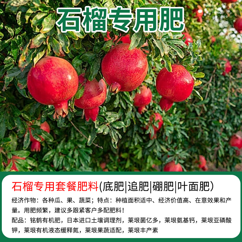 批发石榴专用有机复合肥底肥追肥缓释肥微量元素果树苗颗粒叶面肥