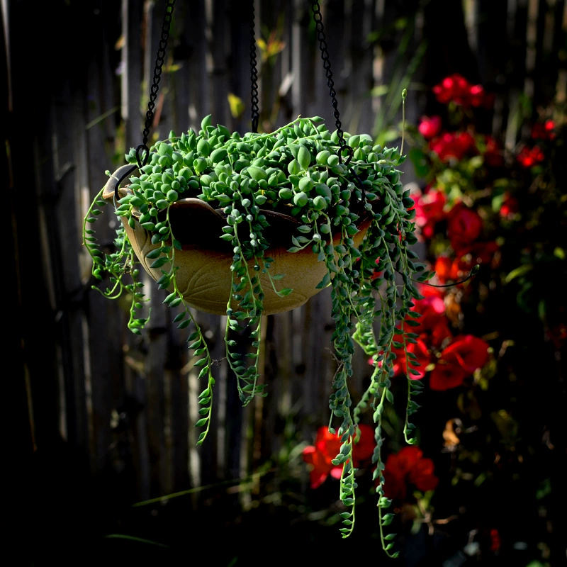 Винтажный подвесной цветочный горшок с орхидеей керамическая подвесная Корзина Висит большая настенная Подвеска бусины Будды зеленая Роза цветочный горшок для суккулентов оптом