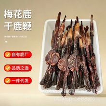 整支干鹿鞭吉林梅花鹿之乡鹿场供应整根干鹿鞭可切鹿鞭片正品批发
