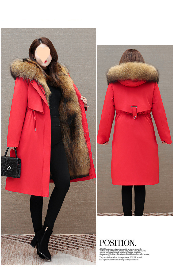 024198be-3484-490d-bfb9-0af785b6584f.jpe