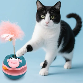 狗狗食具;狗狗玩具;狗狗清洁