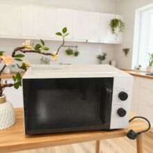 ����΢��¯С������ʵ��20L�๦�ܻ�еʽ����΢��¯�ֻ��羳����