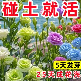 ���m�ذ���۹����N�ѻ�ɫ�׻�ܷN�����ļ����N�_���҃��⻨��