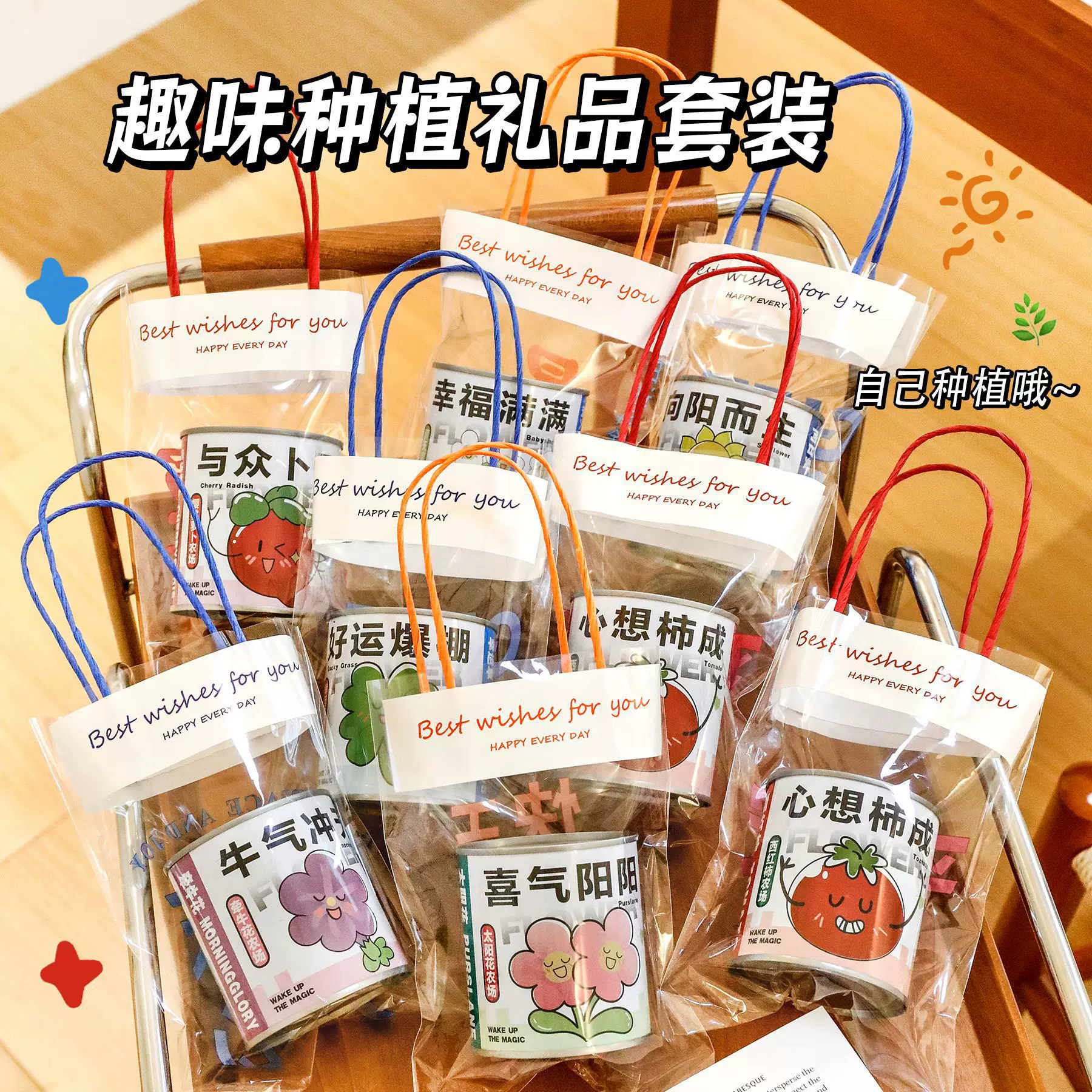 儿童观察种植套装小学生diy小盆栽桌面绿植罐头趣味种植礼品套装