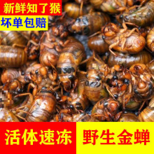 Ұ֪˺rsɽ|rكsӼɮ⹝