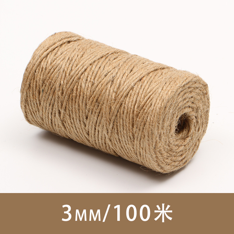 직경 3mm, 길이 100 m