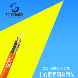 GCYFY�ⴵ΢�|����ܵ�΢�͹��|����ʽ�ӽgʽ���w��48о72о96о