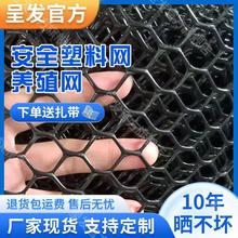 加厚塑料网格家用阳台防护网儿童防坠猫咪封窗围栏育雏漏粪网