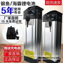 電動車電池48v鋰電池電單車電瓶代駕折疊車銀魚海霸 通用10AH直銷