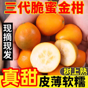 �����۽�̡����ڵ����V���ڰ����۽�����r����ˮ�������b