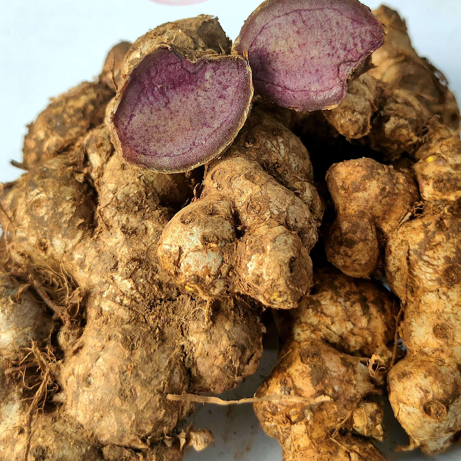 微信图片_20241226150127