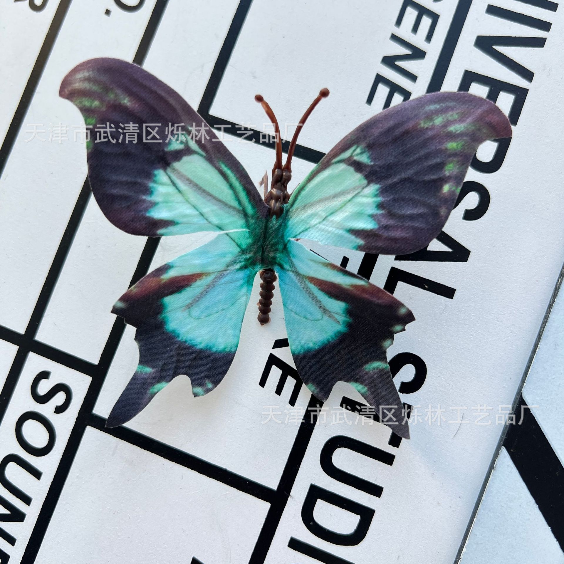 29호(대)