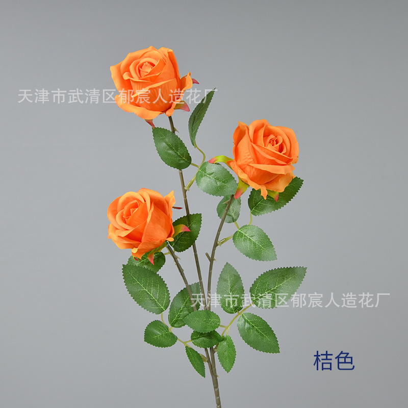 오렌지