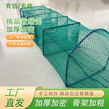 ���l�S�X�\�����T���q�W���r�W�W�\���X�\�����T�o�Y�W�\