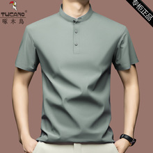 ľBzItʿļ¿꼃ɫoPOLO·