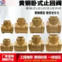 全铜卧式dn15水管止回阀
