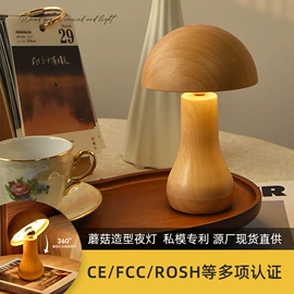 室内壁灯;小夜灯;化妆镜